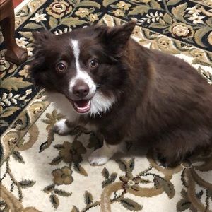 Meet your Posher, Tina